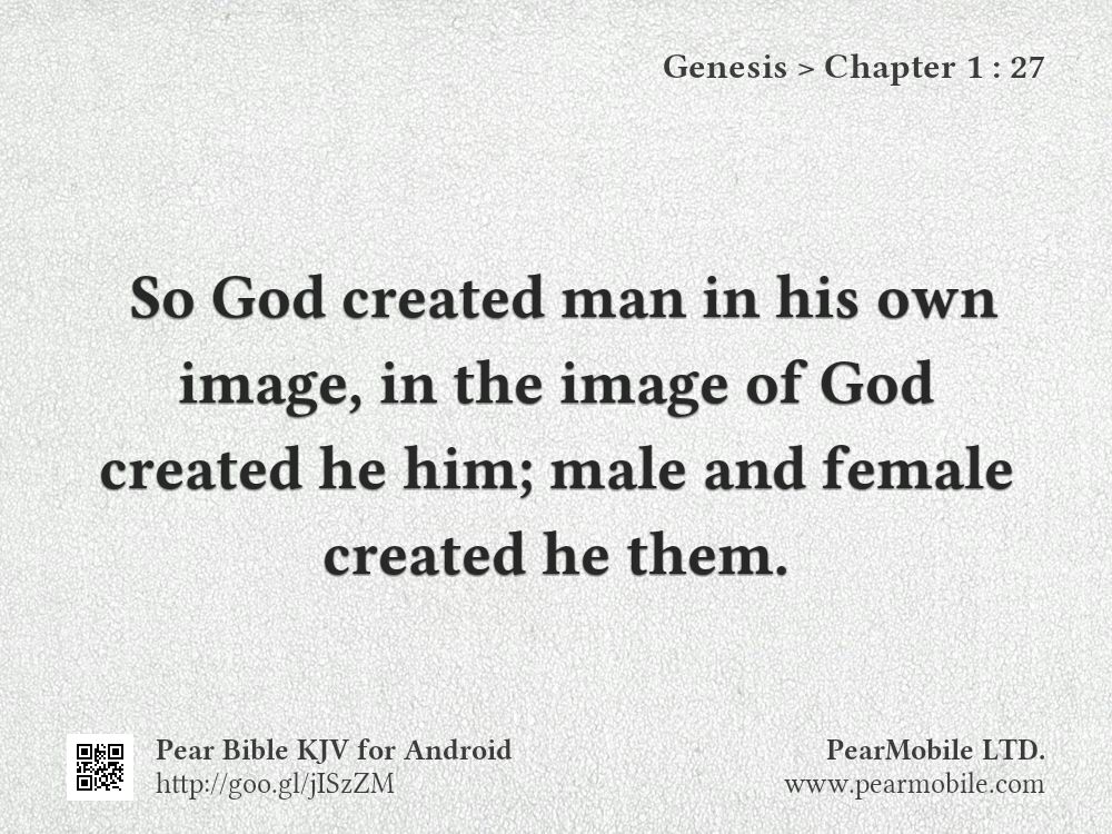 Genesis, Chapter 1:27